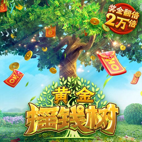 aa视频手机版