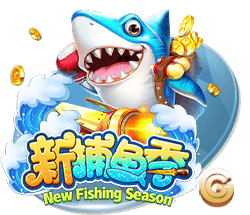 aa视频2025最新版
